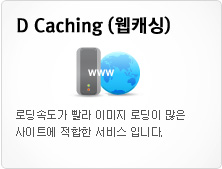 D Caching 웹개싱